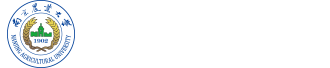 2026世界杯官网